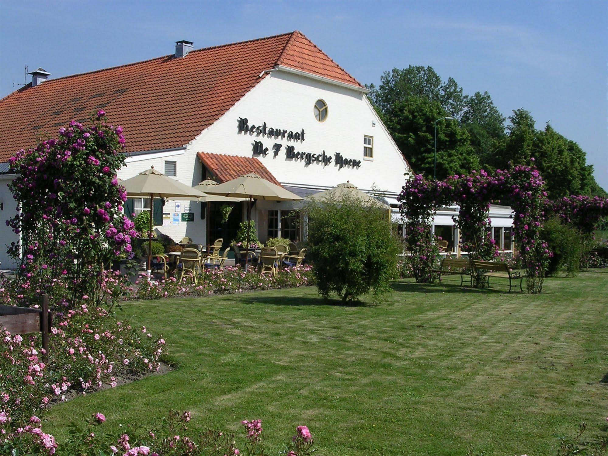 Hotel Golden Tulip 4*